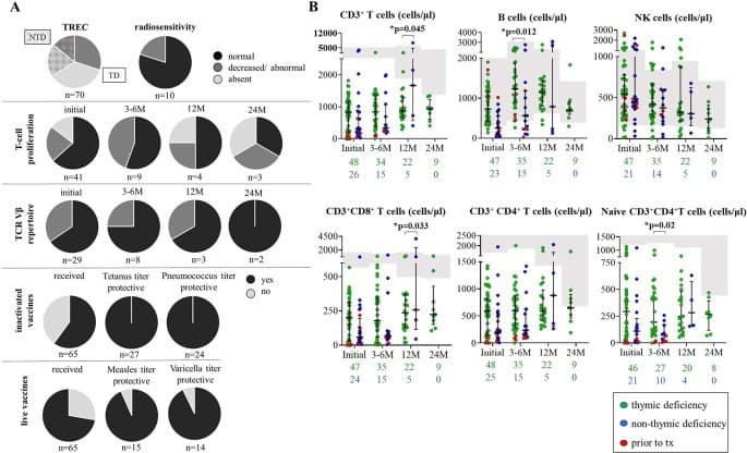 Gráficos com contagens de subpopulações linfocitárias e testes funcionais de uma coorte de pacientes.