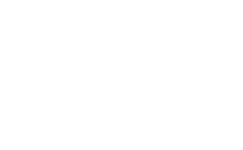 Instituto Fernando Loper Vasconcellos de Apoio Múltiplo à Atrofia Muscular Espinhal (AME) e Outras Doenças Raras