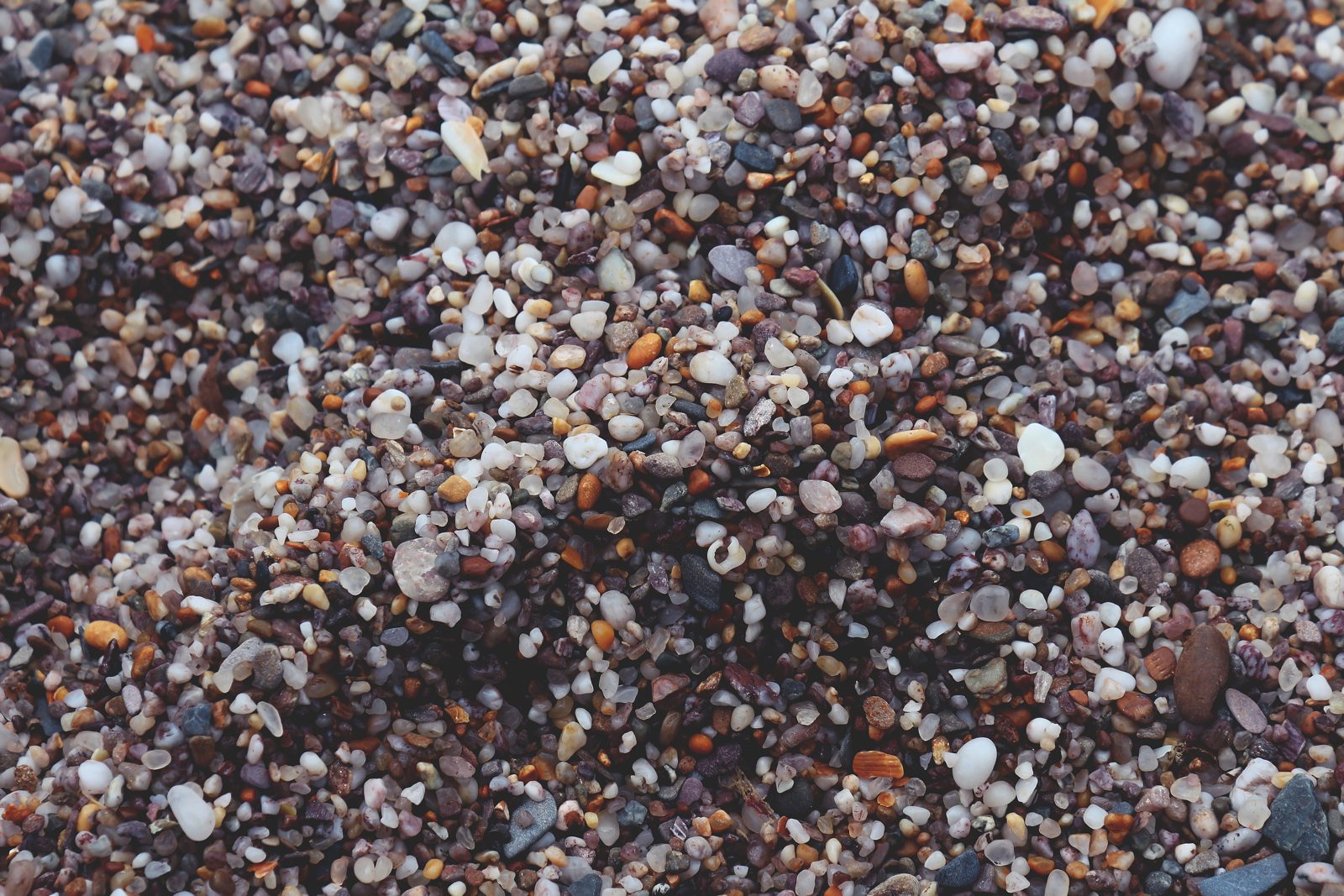 Pedriscos de muitas cores e tamanhos, vistos de perto, cobrindo toda a superfície de uma praia de seixos.