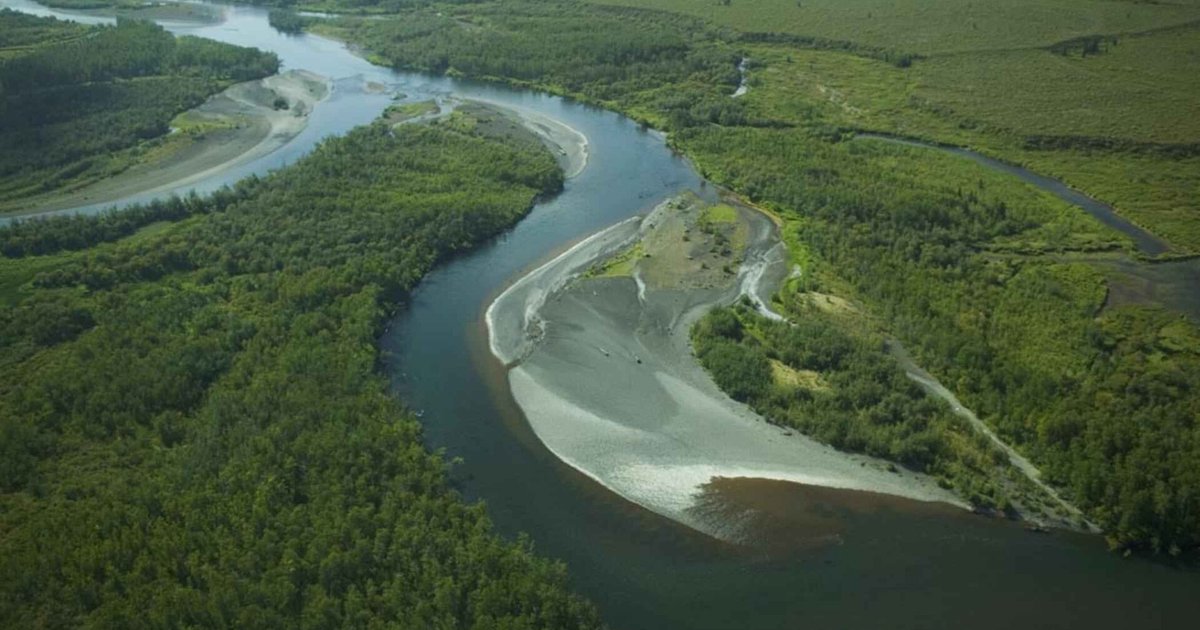Luftbild eines mäandernden Flusses im Wald