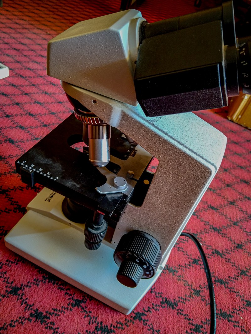 Microscópio binocular