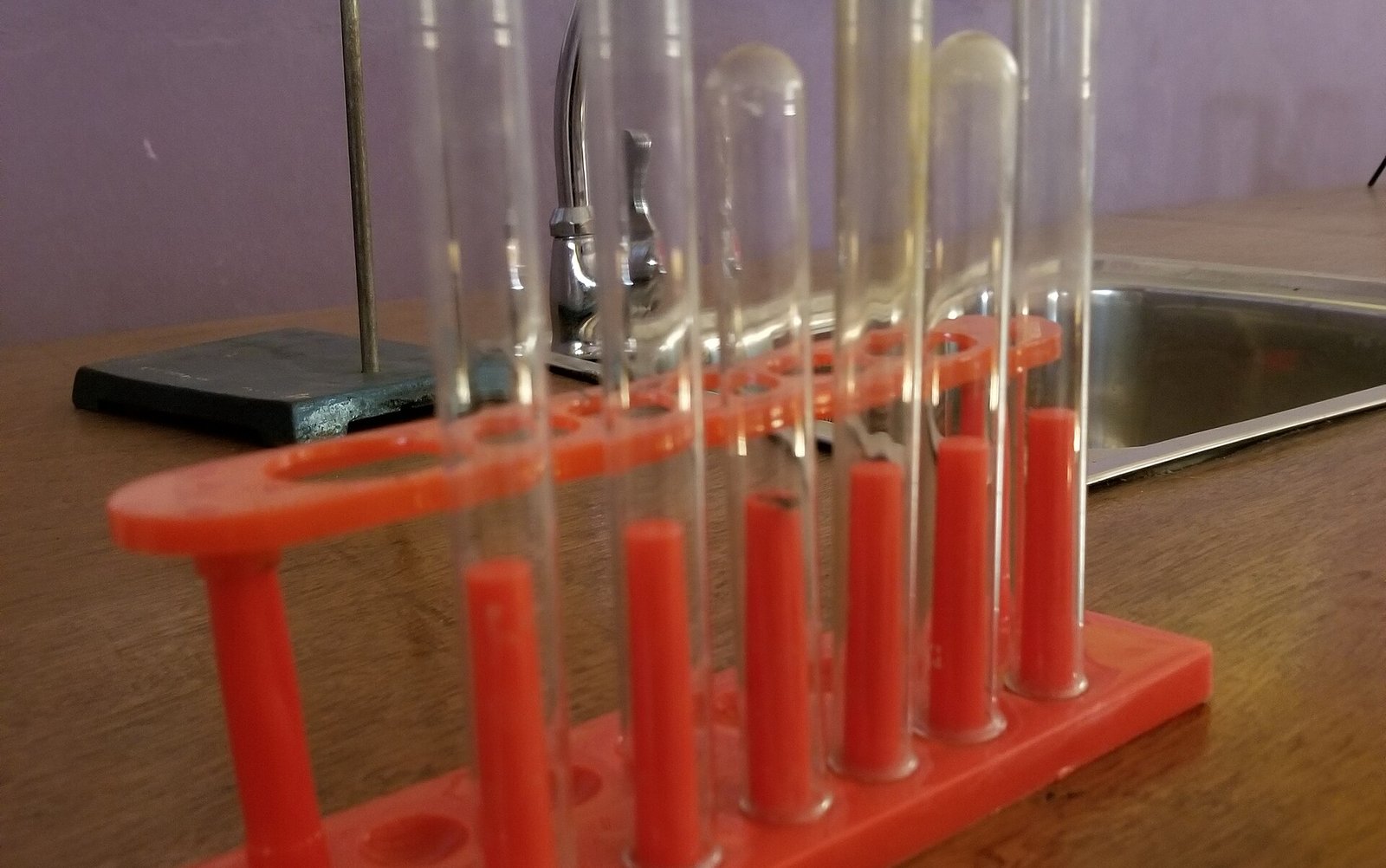 Suporte vermelho de laboratório com tubos de ensaio vazios de vidro, sobre uma bancada de madeira com uma pia ao fundo