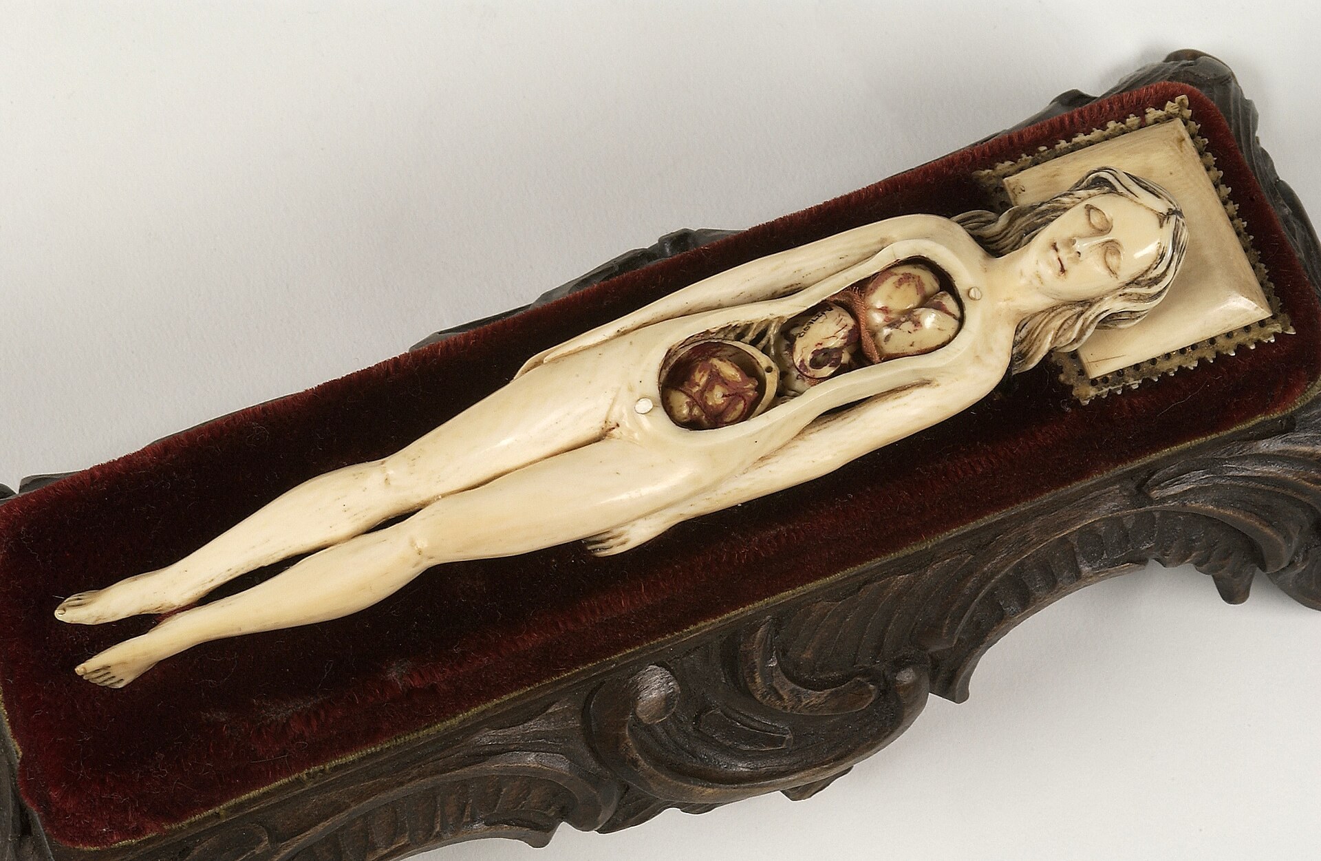 Anatomisches Elfenbeinmodell aus dem 17. Jahrhundert, eine kleine liegende Frauenfigur in einer mit rotem Samt ausgekleideten Schachtel, deren Rumpfdeckel abgenommen ist und die farbigen, Stück für Stück herausnehmbaren Organe zeigt.