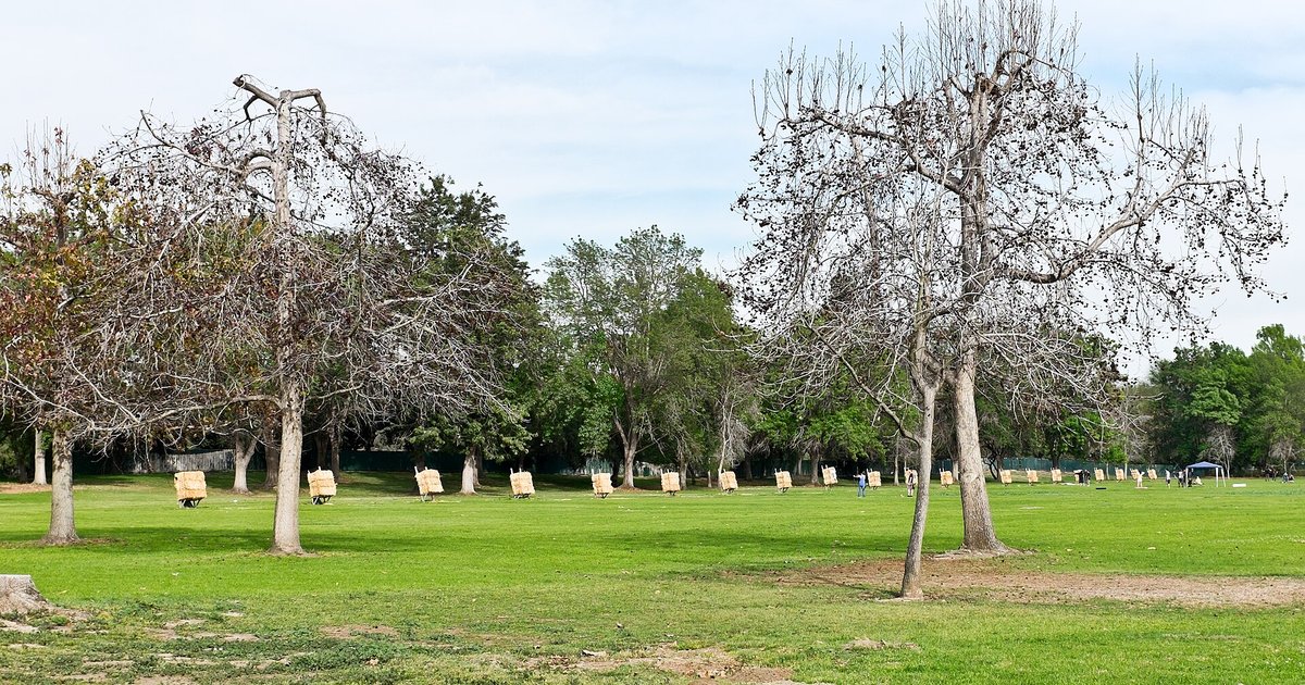 Campo de tiro com arco em parque arborizado