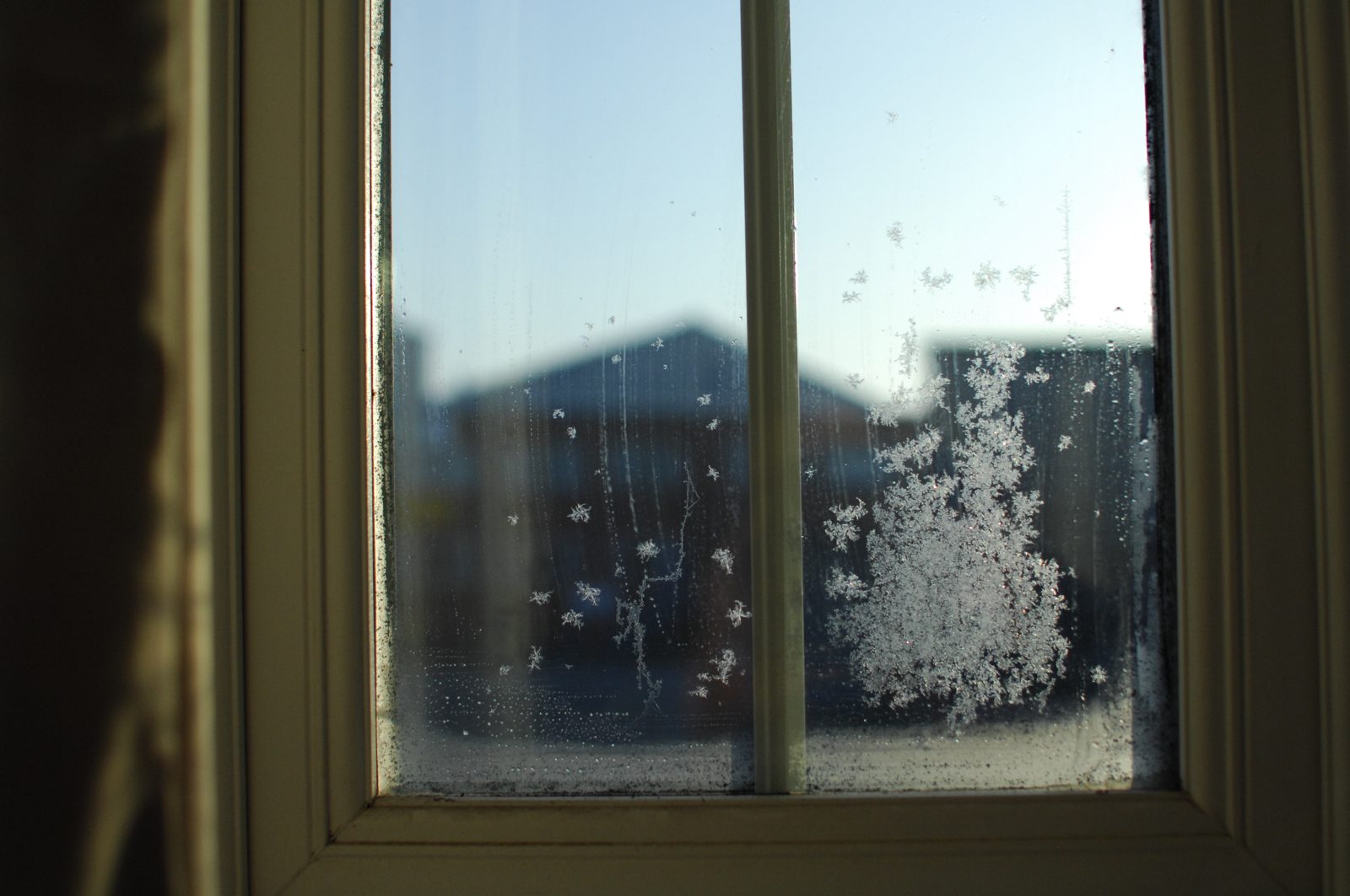 Cristaux de glace formant des motifs sur une vitre, avec un paysage flou en arrière-plan.