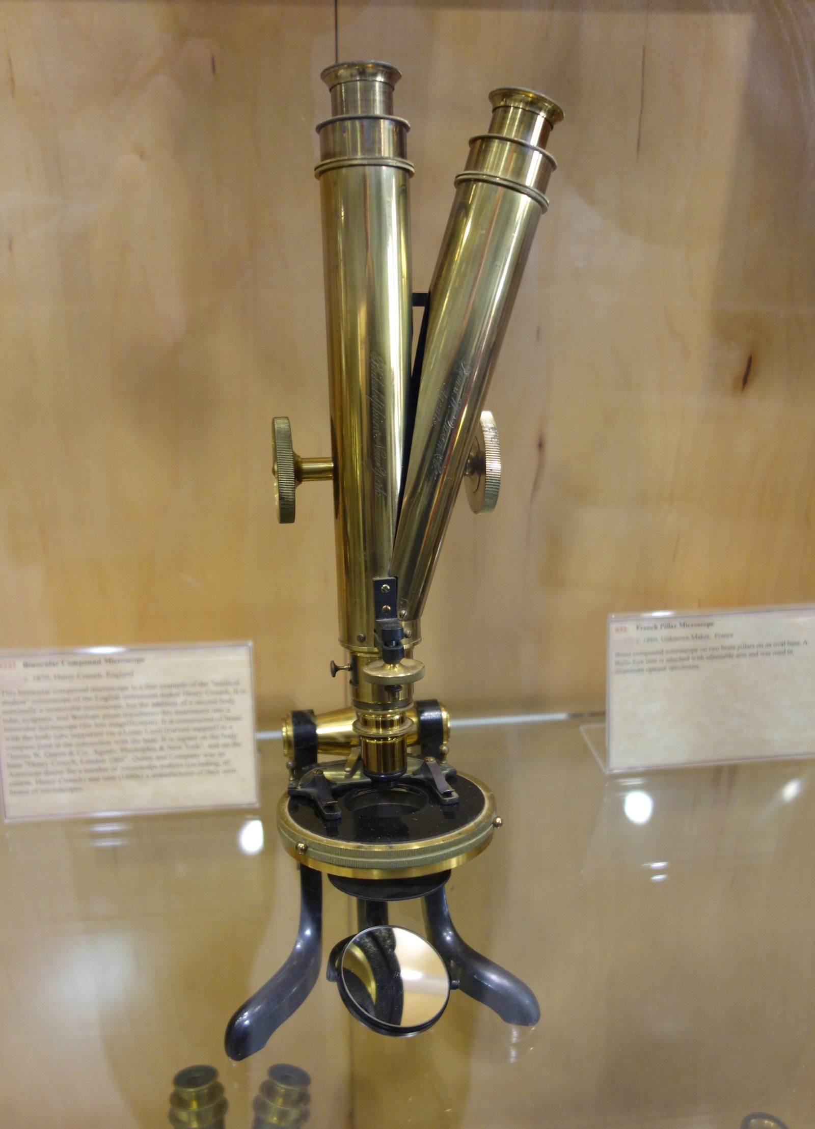 Altes vergoldetes Messing-Binokularmikroskop mit zwei Okulartuben und einem dunklen hufeisenförmigen Sockel, ausgestellt in einer Museumsvitrine.
