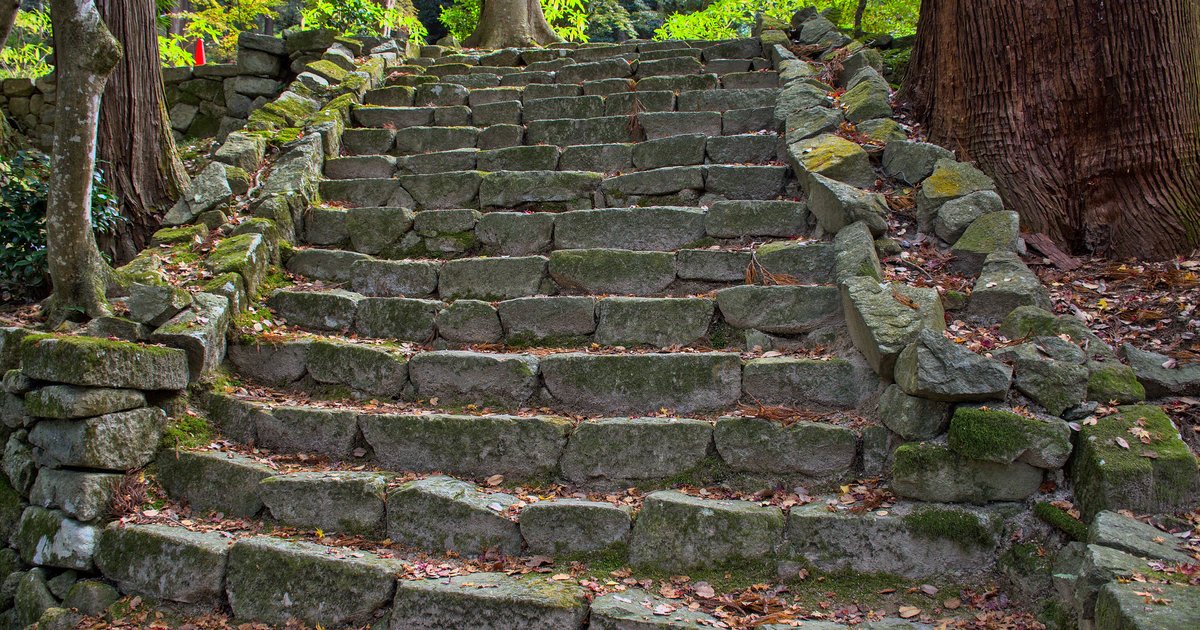 Escadaria de pedras naturais coberta de musgo subindo entre árvores numa floresta, com luz suave.