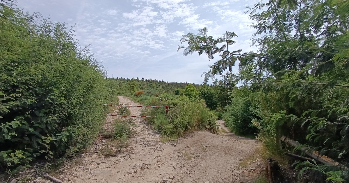 Trilha de terra que se divide em dois caminhos, um deles fechado por uma cancela.