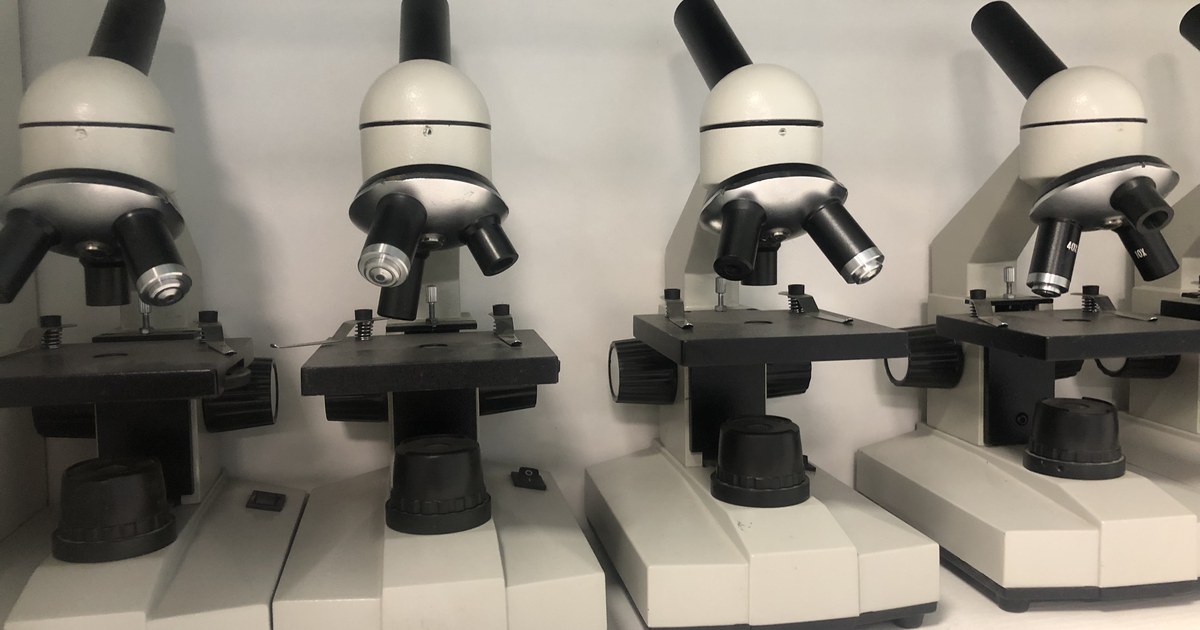 Fileira de microscópios ópticos brancos e pretos alinhados sobre uma bancada de laboratório